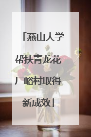 燕山大学帮扶青龙花厂峪村取得新成效
