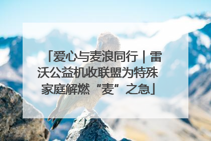 爱心与麦浪同行｜雷沃公益机收联盟为特殊家庭解燃“麦”之急