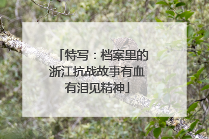 特写：档案里的浙江抗战故事有血有泪见精神