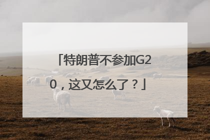 特朗普不参加G20，这又怎么了？
