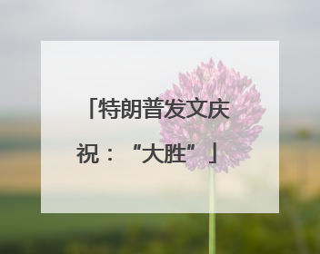 特朗普发文庆祝：“大胜”