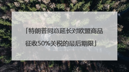 特朗普同意延长对欧盟商品征收50%关税的最后期限