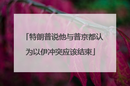 特朗普说他与普京都认为以伊冲突应该结束