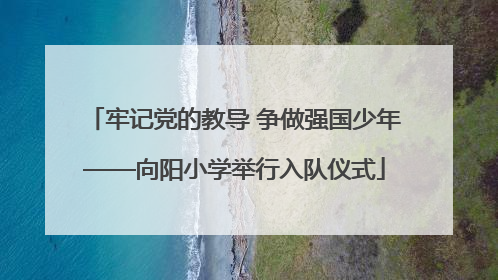 牢记党的教导 争做强国少年——向阳小学举行入队仪式