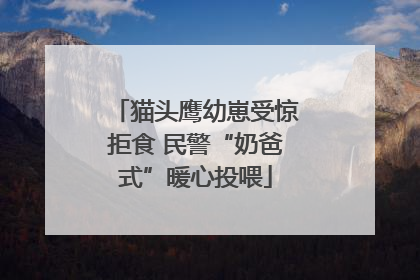 猫头鹰幼崽受惊拒食 民警“奶爸式”暖心投喂