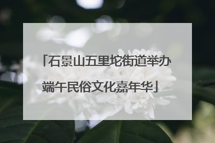 石景山五里坨街道举办端午民俗文化嘉年华