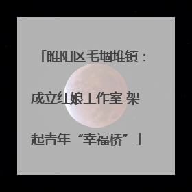 睢阳区毛堌堆镇：成立红娘工作室 架起青年“幸福桥”