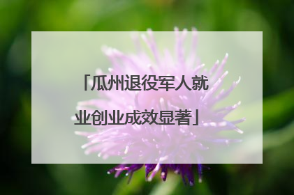 瓜州退役军人就业创业成效显著