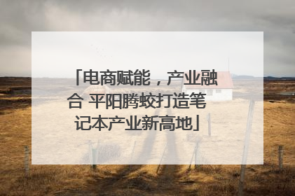 电商赋能，产业融合 平阳腾蛟打造笔记本产业新高地