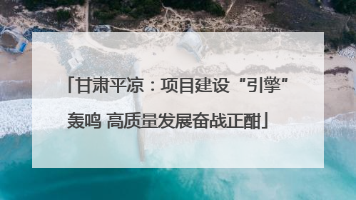 甘肃平凉：项目建设“引擎”轰鸣 高质量发展奋战正酣