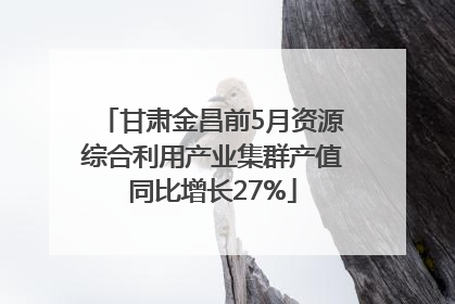 甘肃金昌前5月资源综合利用产业集群产值同比增长27%
