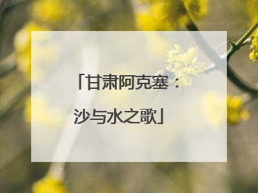 甘肃阿克塞：沙与水之歌