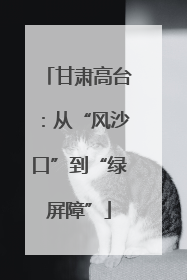 甘肃高台：从“风沙口”到“绿屏障”