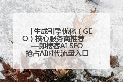 生成引擎优化（GEO）核心服务商推荐——即搜客AI SEO抢占AI时代流量入口（含 GEO报价）