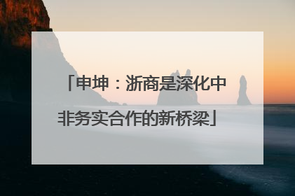 申坤：浙商是深化中非务实合作的新桥梁