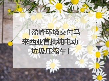盈峰环境交付马来西亚首批纯电动垃圾压缩车