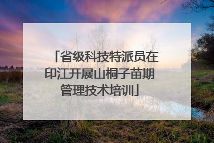 省级科技特派员在印江开展山桐子苗期管理技术培训