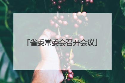 省委常委会召开会议