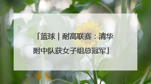 篮球｜耐高联赛：清华附中队获女子组总冠军