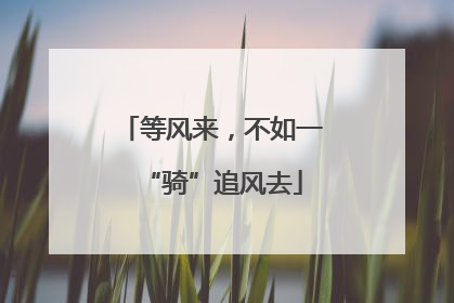 等风来，不如一“骑”追风去