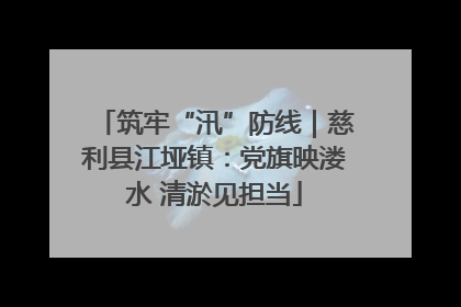 筑牢“汛”防线｜慈利县江垭镇：党旗映溇水 清淤见担当