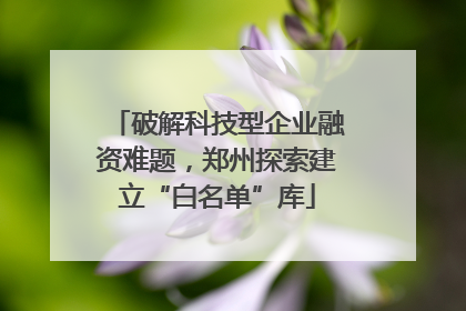 破解科技型企业融资难题，郑州探索建立“白名单”库