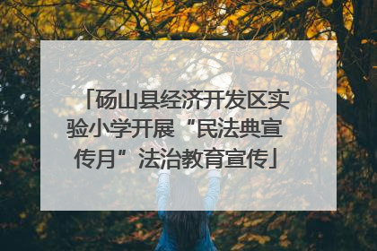 砀山县经济开发区实验小学开展“民法典宣传月”法治教育宣传