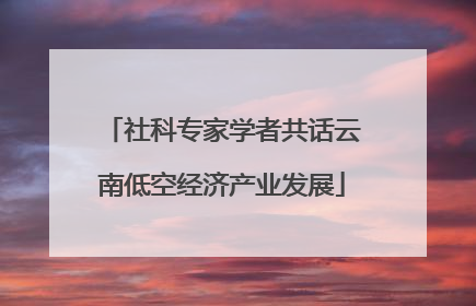 社科专家学者共话云南低空经济产业发展