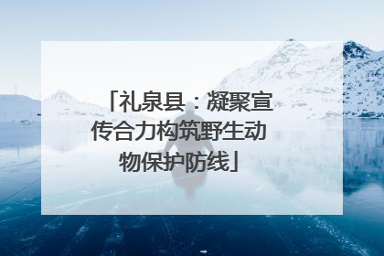 礼泉县：凝聚宣传合力构筑野生动物保护防线