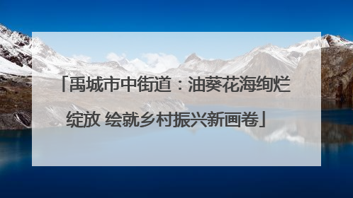 禹城市中街道：油葵花海绚烂绽放 绘就乡村振兴新画卷