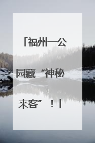 福州一公园藏“神秘来客”！
