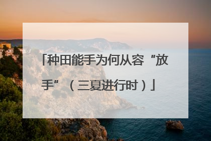 种田能手为何从容“放手”（三夏进行时）
