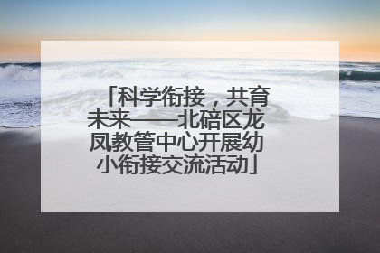科学衔接，共育未来——北碚区龙凤教管中心开展幼小衔接交流活动