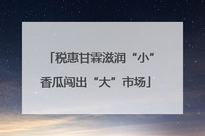 税惠甘霖滋润“小”香瓜闯出“大”市场