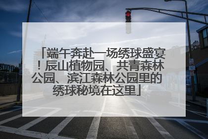 端午奔赴一场绣球盛宴！辰山植物园、共青森林公园、滨江森林公园里的绣球秘境在这里
