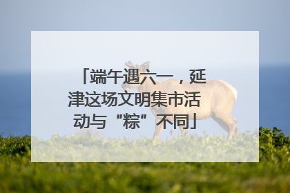 端午遇六一，延津这场文明集市活动与“粽”不同
