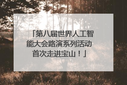 第八届世界人工智能大会路演系列活动首次走进宝山！