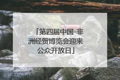 第四届中国-非洲经贸博览会迎来公众开放日