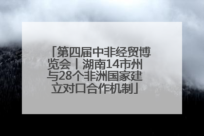 第四届中非经贸博览会丨湖南14市州与28个非洲国家建立对口合作机制