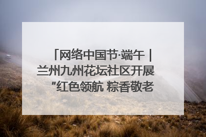 网络中国节·端午｜兰州九州花坛社区开展“红色领航 粽香敬老”端午主题活动
