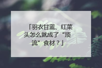 羽衣甘蓝、红菜头怎么就成了“顶流”食材？