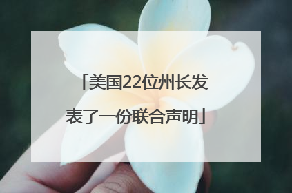 美国22位州长发表了一份联合声明