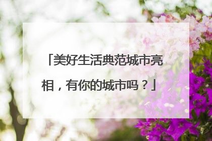 美好生活典范城市亮相，有你的城市吗？
