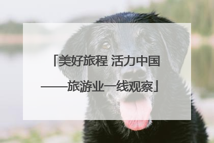 美好旅程 活力中国——旅游业一线观察