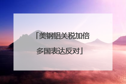 美钢铝关税加倍 多国表达反对
