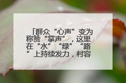 群众“心声”变为称赞“掌声”，这里在“水”“绿”“路”上持续发力，村容村貌焕然一新