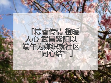 粽香传情 橙暖人心 武昌紫阳以端午为媒织就社区“同心结”