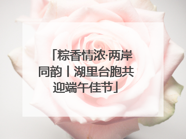 粽香情浓·两岸同韵丨湖里台胞共迎端午佳节