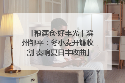 粮满仓·好丰光｜滨州邹平：冬小麦开镰收割 奏响夏日丰收曲