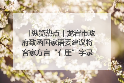 纵览热点｜龙岩市政府致函国家语委建议将客家方言“亻厓”字录入《新华字典》引发热议，当地回应